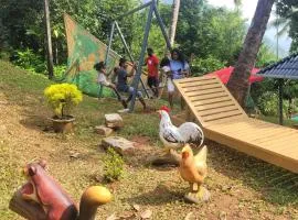 NewCastle Holidays Entire Ground Floor 3 Bedrooms Kitchen Dining Living 8 Guests