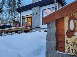 Le Renard Blanc - Spa and Incredible View