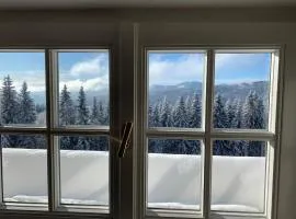 Premium Resort Arber Šumava