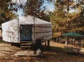 Cosy yurt at a nature retreat in Dunlap CA