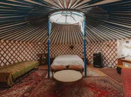 Glamping yurt at a nature retreat near Sequoia