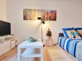 Les Bouleaux d'Alsace - Parking