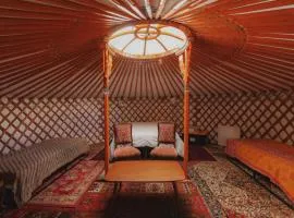 Glamping yurt at Sequoia Highland Camp