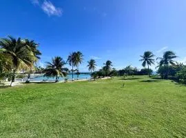 Appartement paradisiaque les pieds dans l'eau