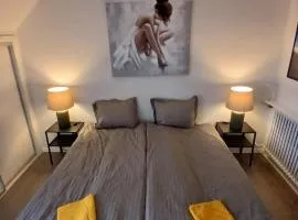 Eksklusiv stort boende i Fredrikshavn