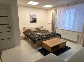 Apártmany v centre - vlastná izba so spoločnou kuchyňou a kúpeľnou môže byť zdieľaná 2 inými izbami, hotel v destinaci Martin