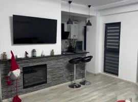 Luxury Apartament Craiova Central