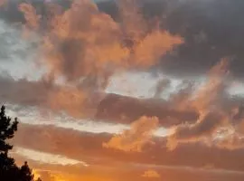 Wilderness Phoenix Rising