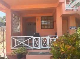 BoyceGuest apartment #1