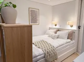 New modern apartment