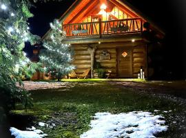 Forest Glade Cottage - Koča na jasi，位于Rečica ob Savinji的酒店