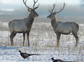 Beautiful nature resort, khách sạn ở Kaliya