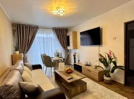 Ultracentral Piata Victoriei 19- City Center View