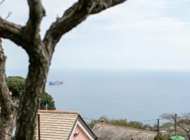 La casa tra gli ulivi