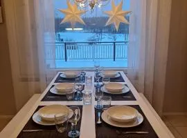 Holiday in the country-only an hour's drive to Rovaniemi