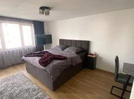 New komplett möblierte Wohnung-Zentral