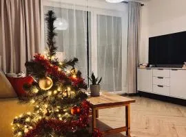 Czapla Siwa Sole Mare