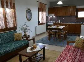 Apartment in Elatochori - O Elato