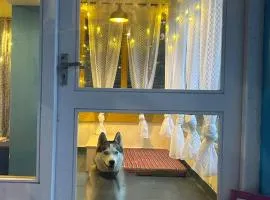 MADLERS by Oakland House