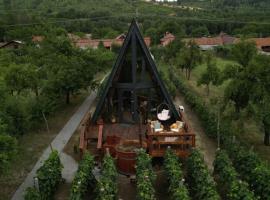 A-Wine Villas, hotel in Novaci