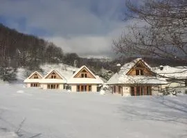 Chaty pod Beskidkiem