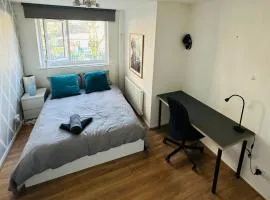 The Oasis Room - Fast Wi-Fi - Private Workspace