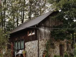 Ojcowska Stodoła - wooden cottage