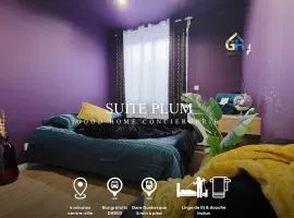 Suite Plum - Centre Ville