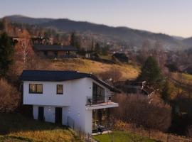 Dzvin, villa in Slavske