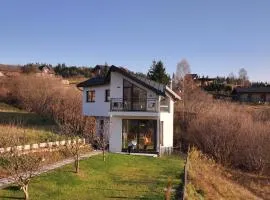Dzvin