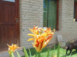 El Espinillo2, hotel i La Falda