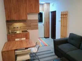 Ana Apartment River Sava