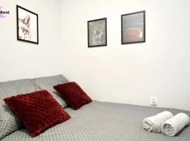 MMRent Fox Room