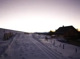 Designchalets Falkertsee