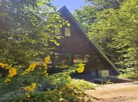 Contemporary Ardennes Chalet in Durbuy