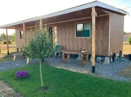 Cabaña Vista Bosque