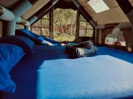 Bubble Paradise, Koh ta Kiev