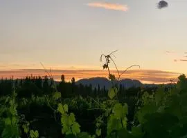 Cabaña Oliva - Privacidad frente a los viñedos