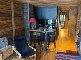 Appartement cosy pour 3 pers - Centre Val d'Isère - FR-1-519-45