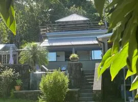 L'enclos Pandora à SAINTE ROSE