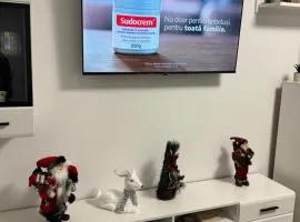 A B V Central Apartament