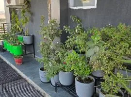 Singal's Roof top retreat