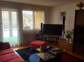 Appartement partagé