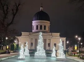 Central Location Apartment