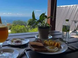 Stargaze Ridge Retreat