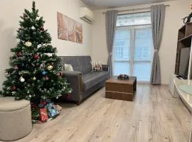 Апартамент за гости Кари