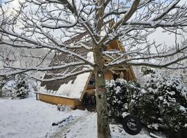 LESNA CHATA - jestesmy 15km od Energylandii, domek wolnostojacy, Beskid Maly, Hotel in Zagórnik