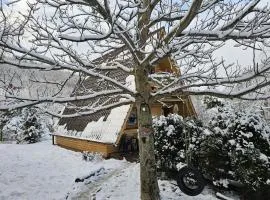 LESNA CHATA - jestesmy 15km od Energylandii, domek wolnostojacy, Beskid Maly