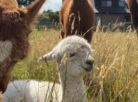 Ferienwohnung Alpakablick - inklusive gratis Alpaka Meet & Greet
