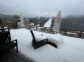 One Azuga, hotel di Azuga